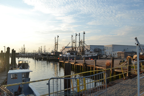 �����. ���� Narragansett ������������
