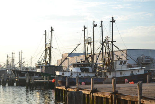�����. ���� Narragansett ������������